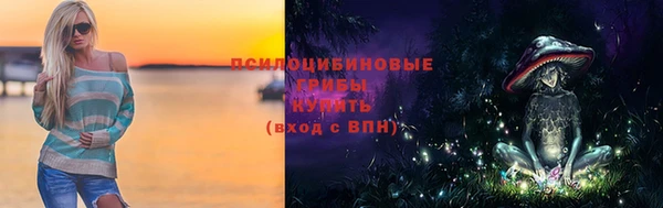 мяу мяу мука Магадан