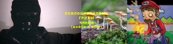 2c-b Липки