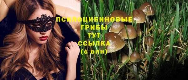 индика Лабытнанги