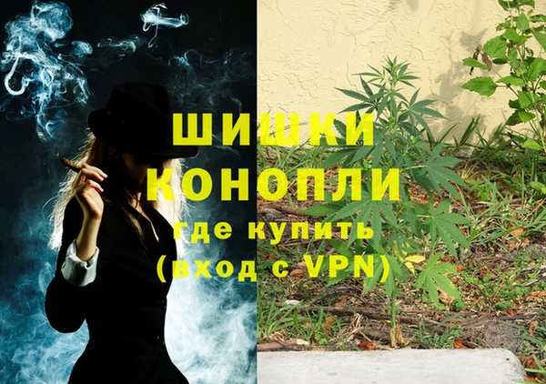 крисы Майский