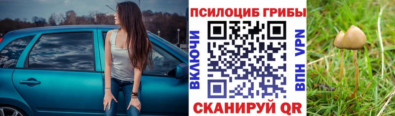 Галлюциногенные грибы мухоморы  как найти закладки  Лебедянь 